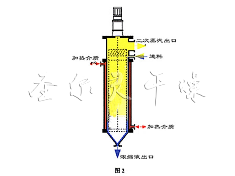 刮板薄膜蒸发器